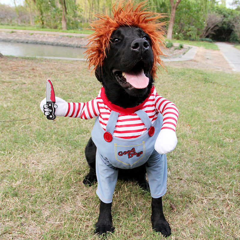 Disfraz Divertido para Perros 🐶 — Fiestas, Halloween y Eventos