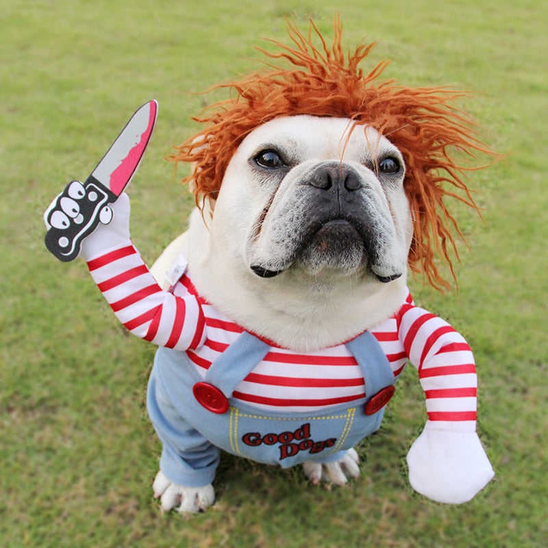Disfraz Divertido para Perros 🐶 — Fiestas, Halloween y Eventos