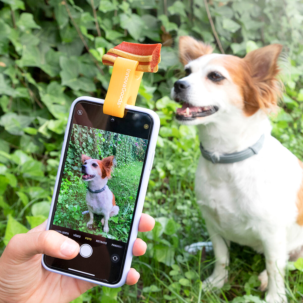 Clip Selfie para Mascotas — Fotos Perfectas con tu Perro o Gato