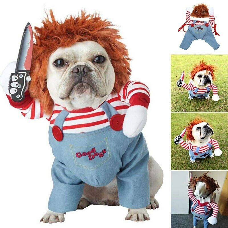 Disfraz Divertido para Perros 🐶 — Fiestas, Halloween y Eventos
