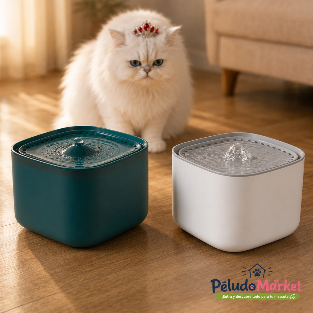 Dos Fuentes de agua automática para gatos con felino al fondo - Peludo Market
